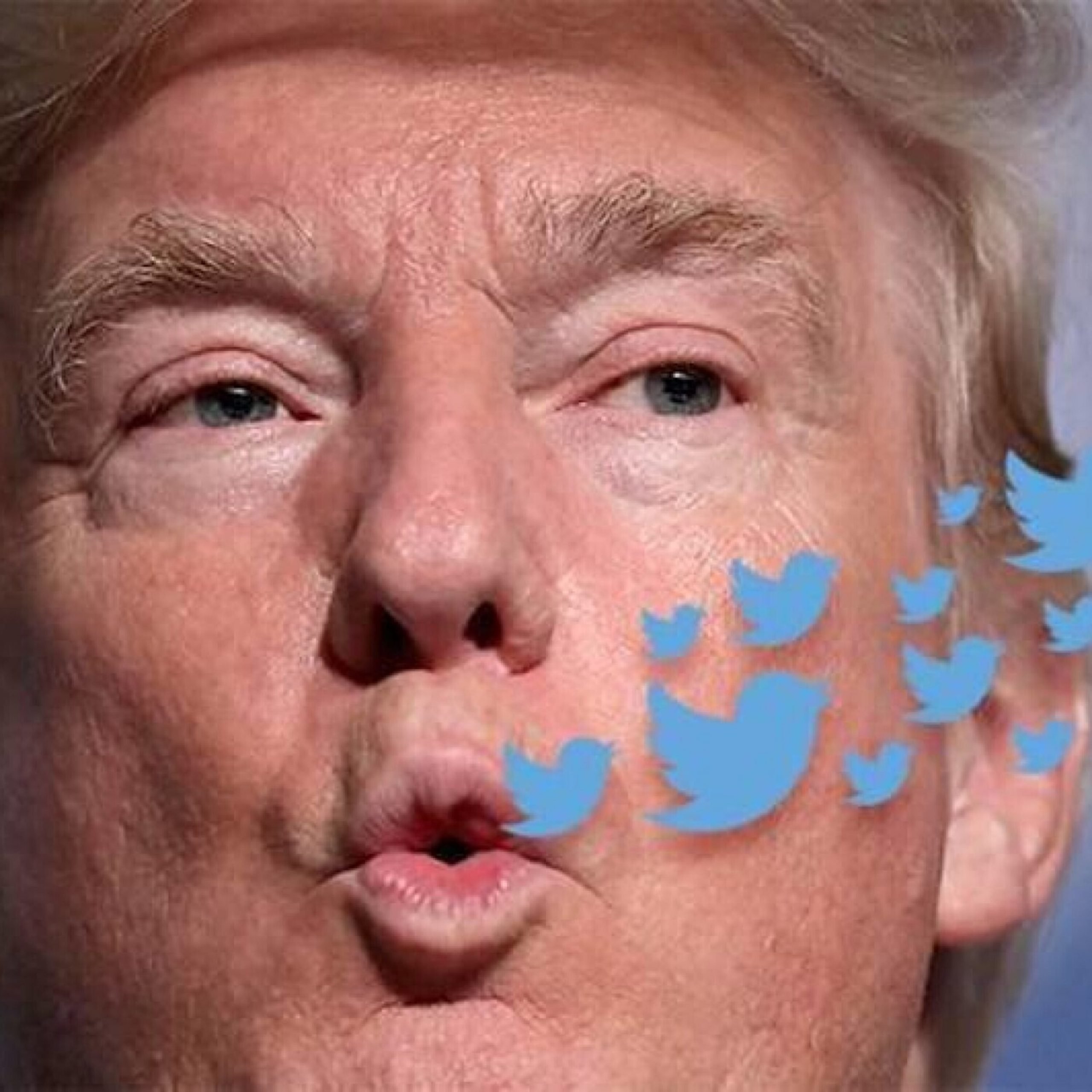 34: Donald Trumps Tweets On Formula 1 #FakeNews