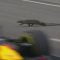 Pokemon GO Monsters At Formula 1 Races?